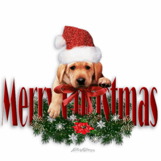 merry-christmas-dog